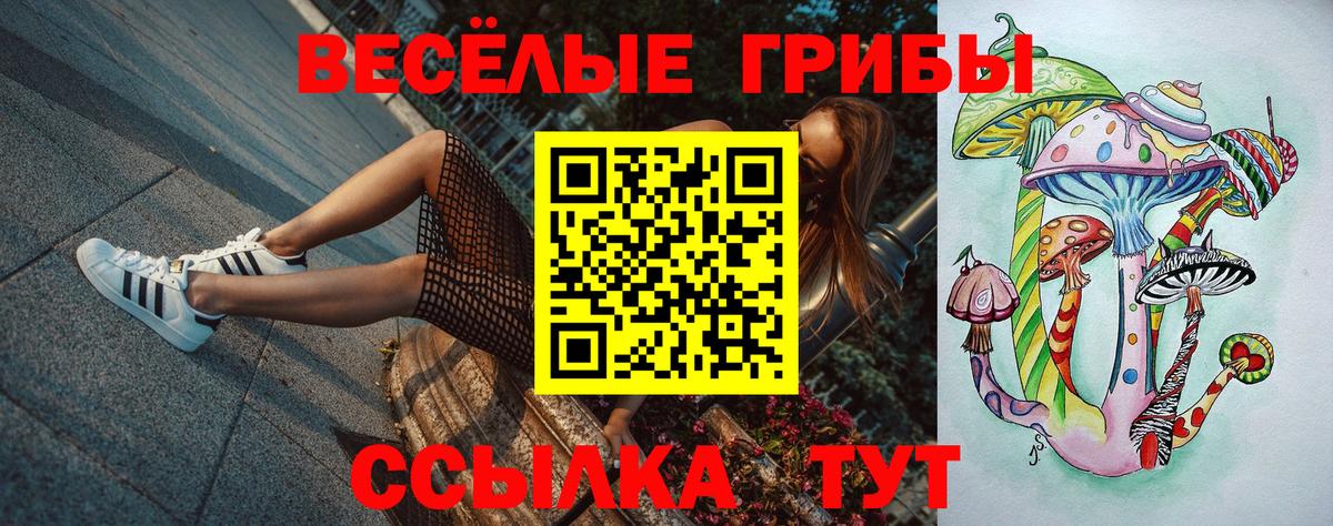 Сергиев Посад  Галлюциногенные грибы MAGIC MUSHROOMS  Вход с VPN  Галлюциногенные грибы Cubensis 